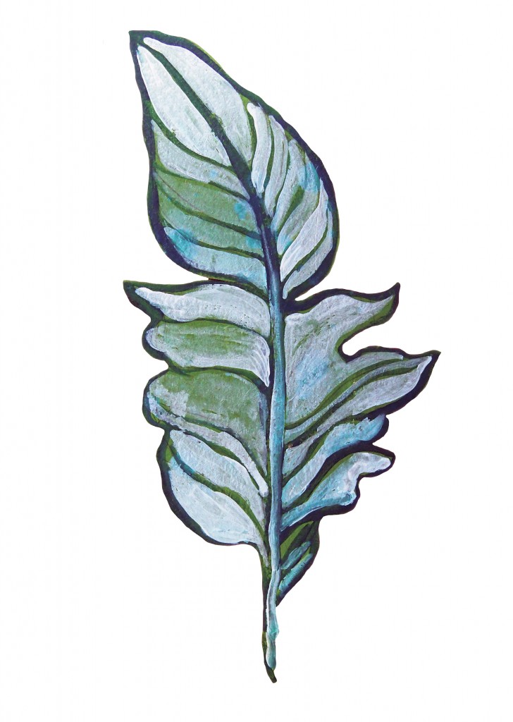 feather