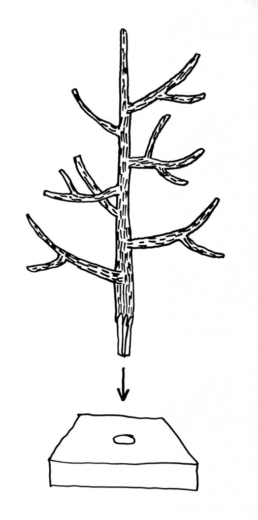 festtrad_small